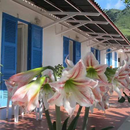Casa Adolfo Ischia 2* Sant'Angelo (Isola d'Ischia)